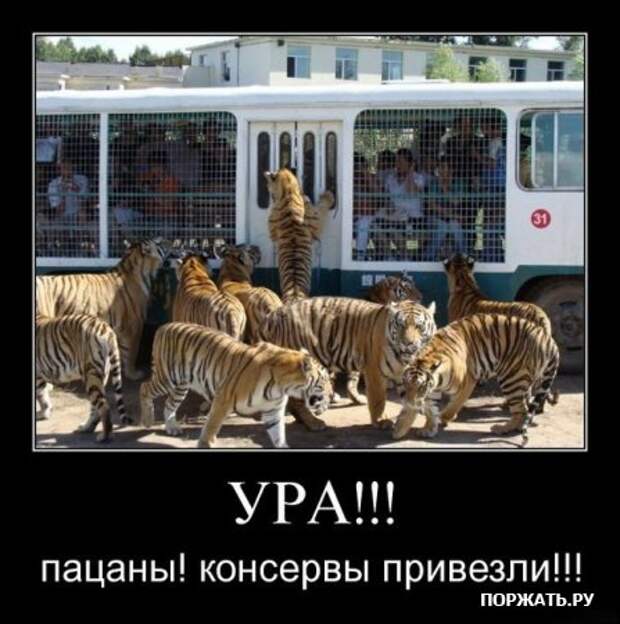 Cмысл демотиваторов - расмешить! (26 фото)