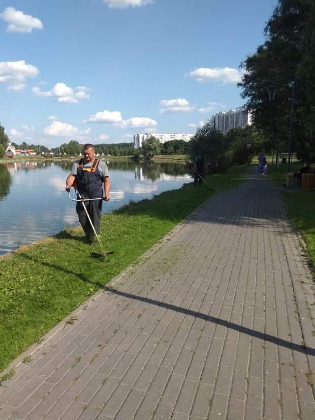Около пруда у Алтуфьевской усадьбы подстригли газон