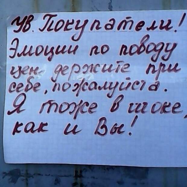 Смешные объявления и вывески (12 фото)