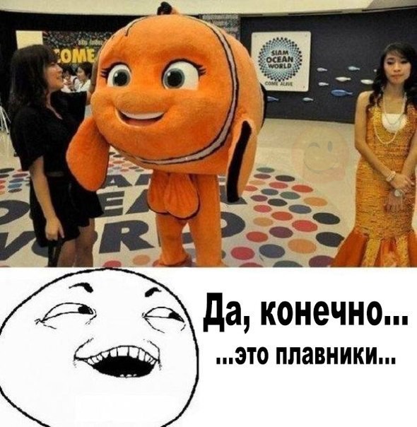 Смешные картинки с надписями прикол, юмор