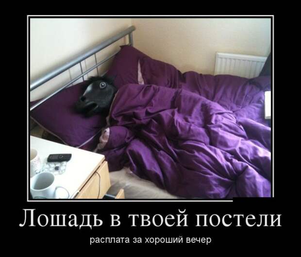 Демотиваторы (30 фото) Демотиваторы (30 фото)