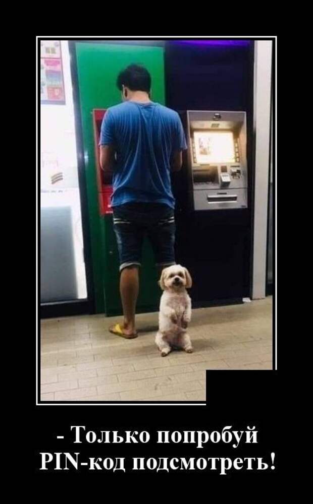 ДЕМОТИВАТОР+