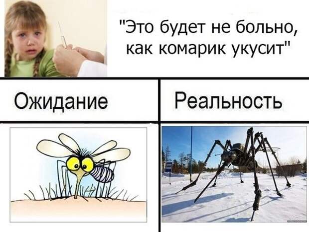 Oжидание vs реальность забавно, фотоподборка