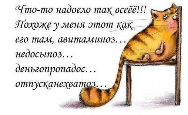 Пост позитива и юмора в пятницу! прикол, юмор