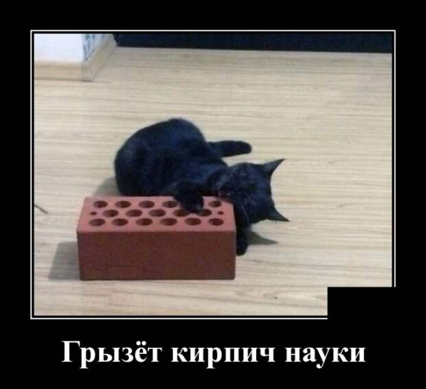 Зачетные и ржачные демотиваторы из нашей жизни для поднятия настроения Зачетные и ржачные демотиваторы из нашей жизни для поднятия настроения