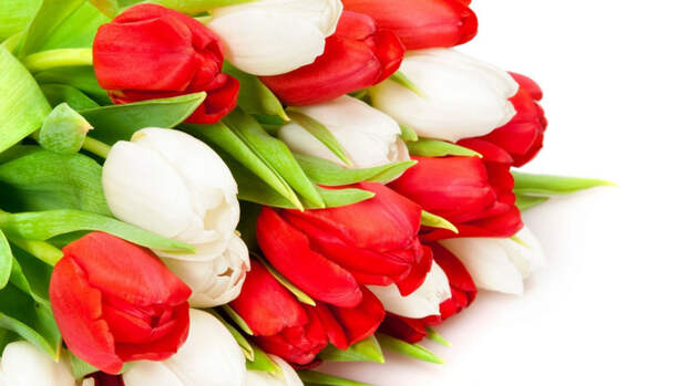 hq-wallpapers_ru_flowers_31717_1920x1080 (700x393, 258Kb)