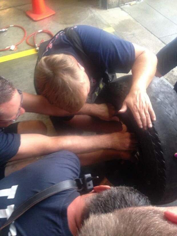 Как спасатели вытаскивали собаку, застрявшую головой в старом колесе (20 фото) Как спасатели вытаскивали собаку, застрявшую головой в старом колесе (20 фото)