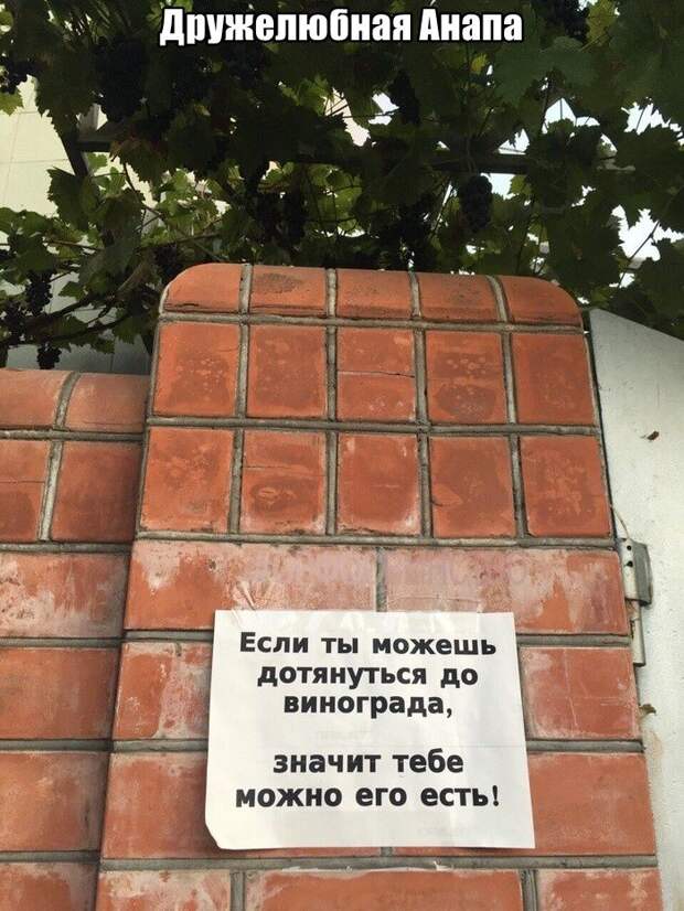 kartinok-prikolnyh-podborka-kartinki-smeshnye-kartinki-fotoprikoly