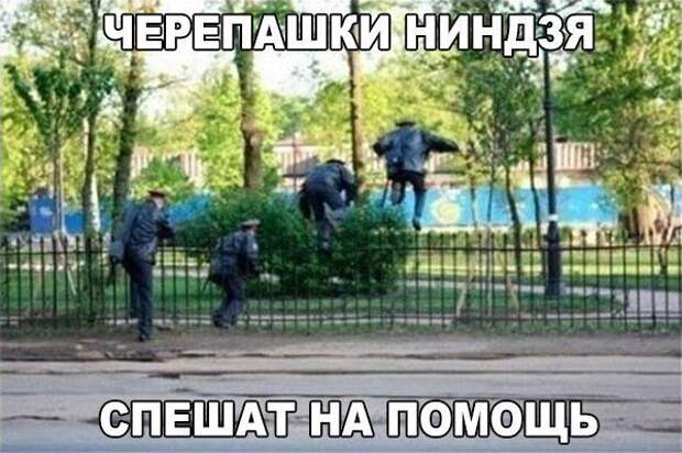 Фразы в картинках. Классные приколы!