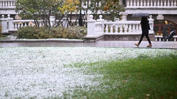 Синоптик спрогнозировал таяние снежного покрова в Москве к концу субботы