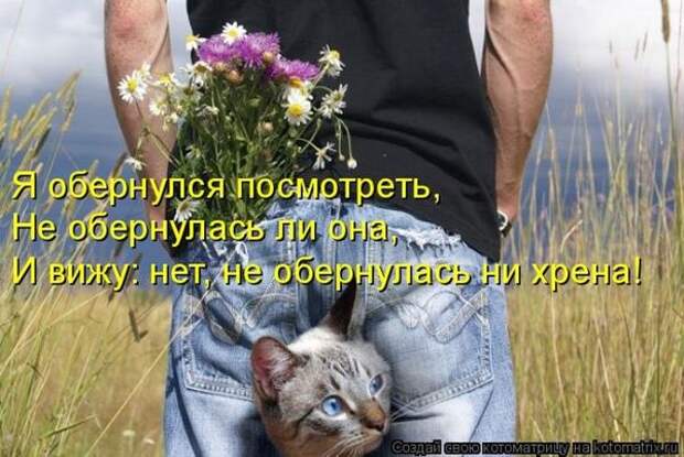 Котоматрицы великолепные, каждая с кусочком позитива и хорошего настроения!!!