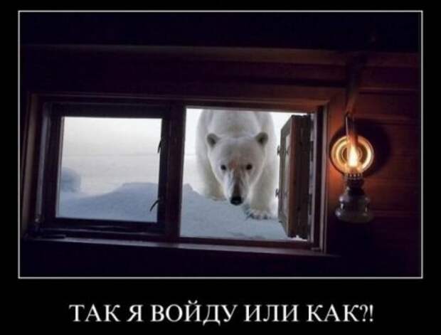 Демотиваторов весело, много, и самые прикольные!