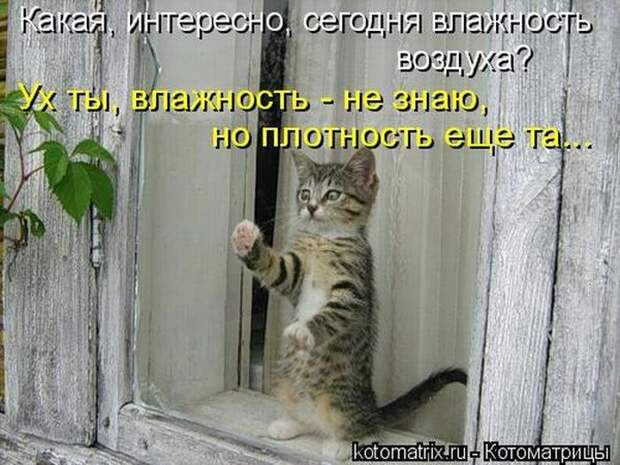 Мысли вслух :)