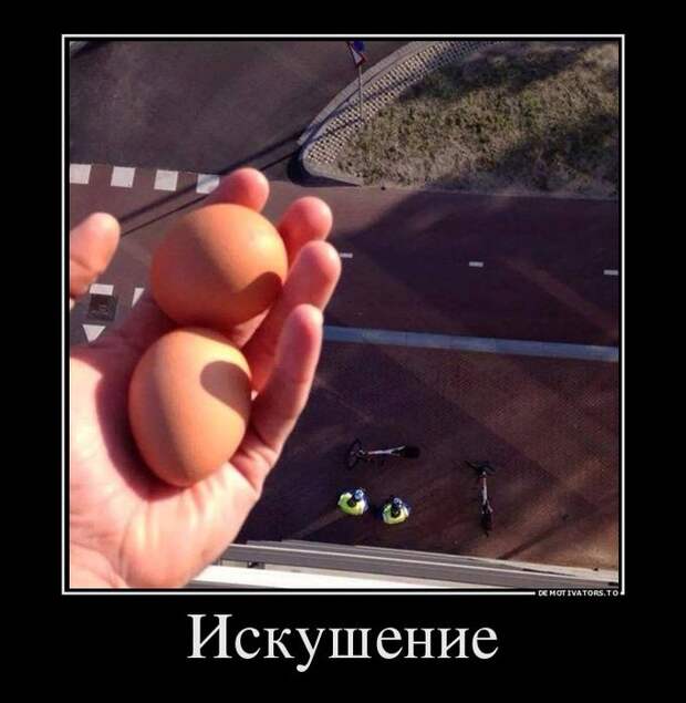 Подборка демотиваторов демотиватор, юмор