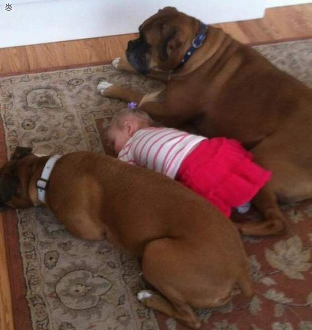 Зверушки и ребятишки 21