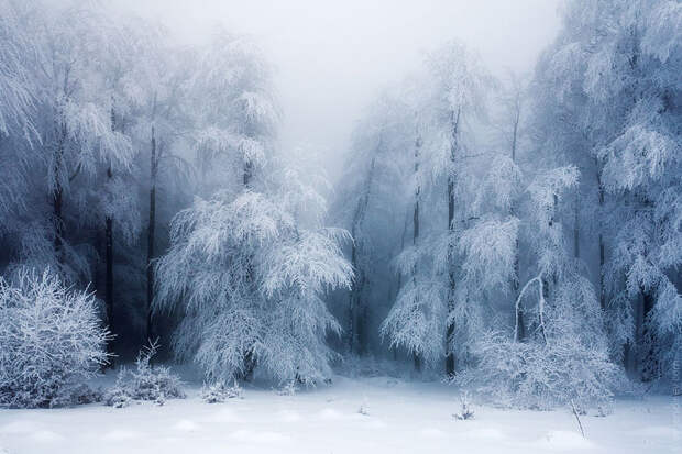 Gorgeous Winter Landscapes 20 Великолепные снежные пейзажи