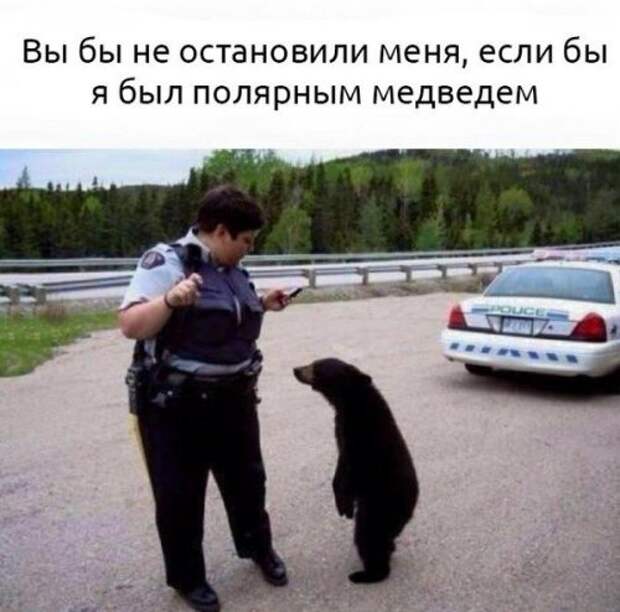 Пятничные прикольные картинки и фото (51 шт)