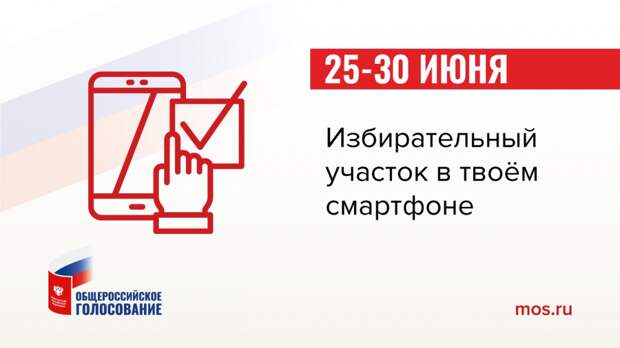 Проголосовать по изменениям в Конституции можно будет традиционно и дистанционно alt