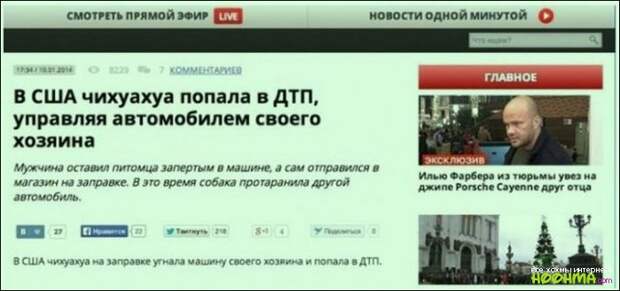 Рейтинг превыше всего
