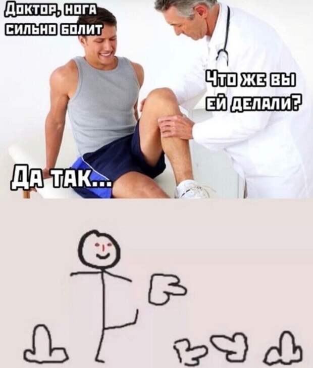 Ленивцы всех стран, объединяйтесь! Ленивцы всех стран, объединяйтесь!