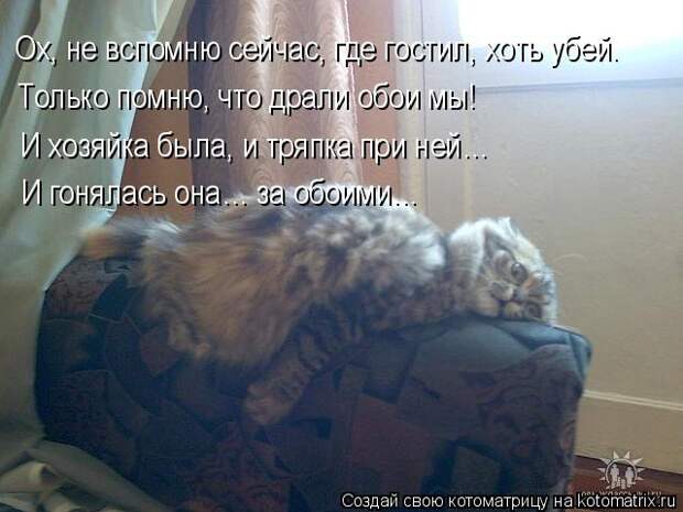 Котоматрица: Ох, не вспомню сейчас, где гостил, хоть убей. Только помню, что драли обои мы! И хозяйка была, и тряпка при ней… И гонялась она… за обоими…