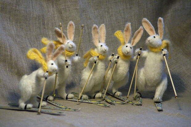 skier rabbits