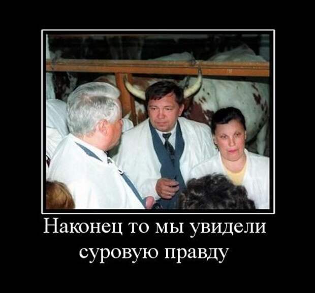 Демотиваторы (133 картинки)