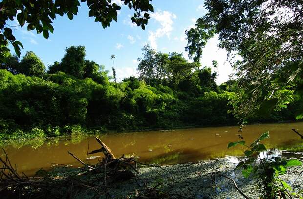 Amazonas09 Большое фотопутешествие по лесам Амазонки