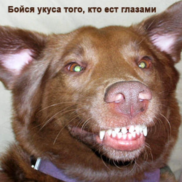 Подборочка прикольных открыток