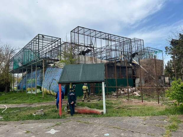 В "Тропик парке" Евпатории заживо сгорели более 200 животных. Двух медведей спасли сотрудники МЧС