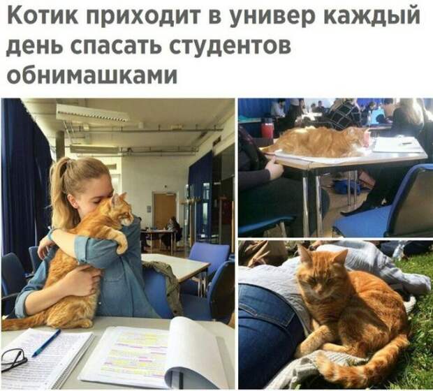Подборка картинок. Вечерний выпуск (28 фото)