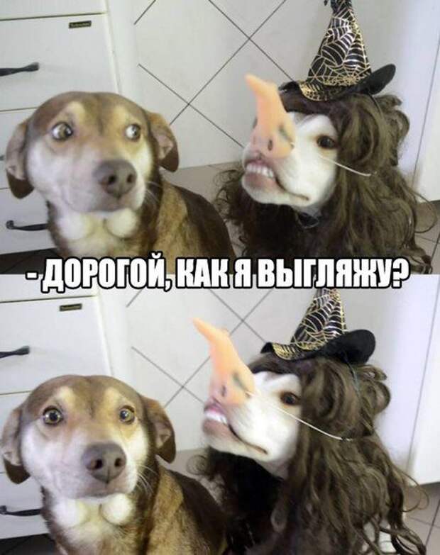 Прикольные картинки с подписями (23 шт)