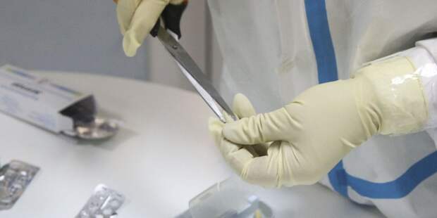 Названы четыре вируса, которые могут устроить пандемию уже в 2026 году