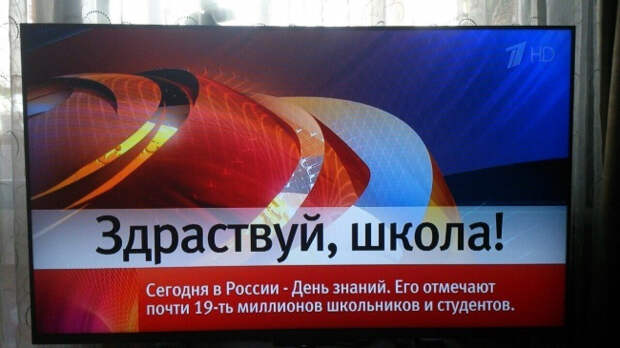 маразмы в жизни (7)