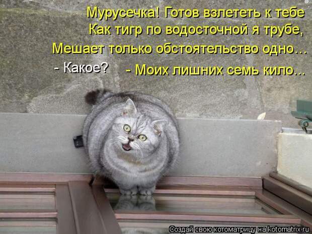 Мысли вслух Мысли вслух