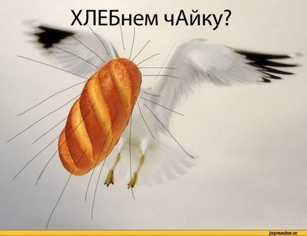 http://img0.joyreactor.cc/pics/post/%D0%BC%D0%B0%D0%B3%D0%B8%D1%8F-%D1%81%D0%BB%D0%BE%D0%B2-%D1%80%D1%83%D1%81%D1%81%D0%BA%D0%B8%D0%B9-%D1%8F%D0%B7%D1%8B%D0%BA-%D0%9B%D0%B5%D0%B3%D0%BA%D0%B0%D1%8F-%D0%BD%D0%B0%D1%80%D0%BA%D0%BE%D0%BC%D0%B0%D0%BD%D0%B8%D1%8F-%D0%BF%D0%B5%D1%81%D0%BE%D1%87%D0%BD%D0%B8%D1%86%D0%B0-898267.jpeg
