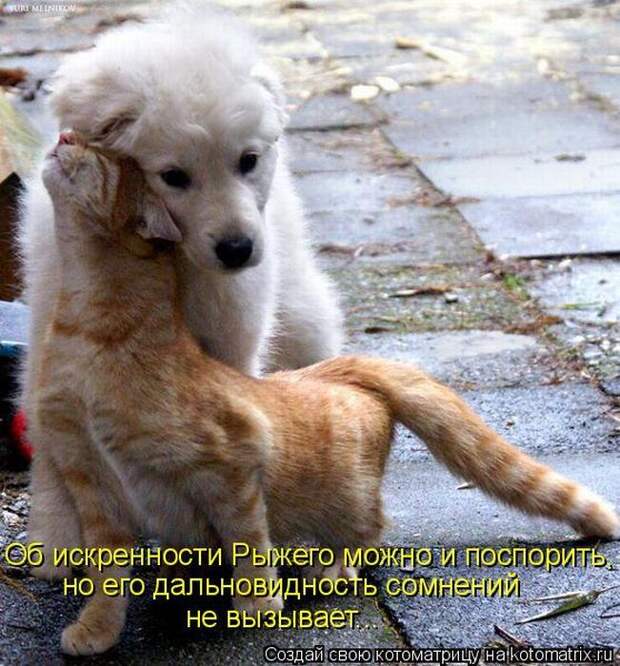 Мысли вслух :)