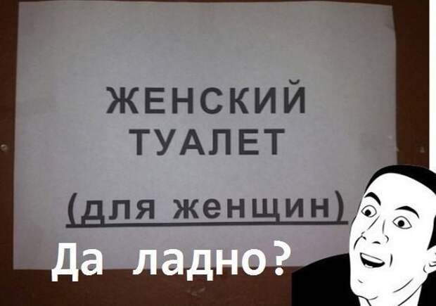 Смешные картинки с надписями прикол, юмор