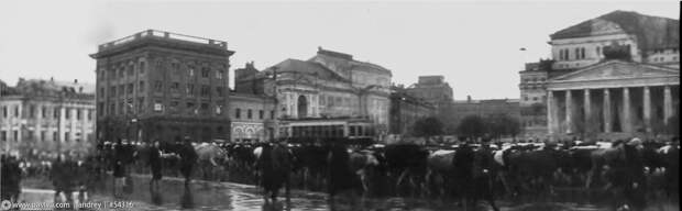 Интересные кадры. Эвакуация домашнего скота! 1941, москва, прогулка