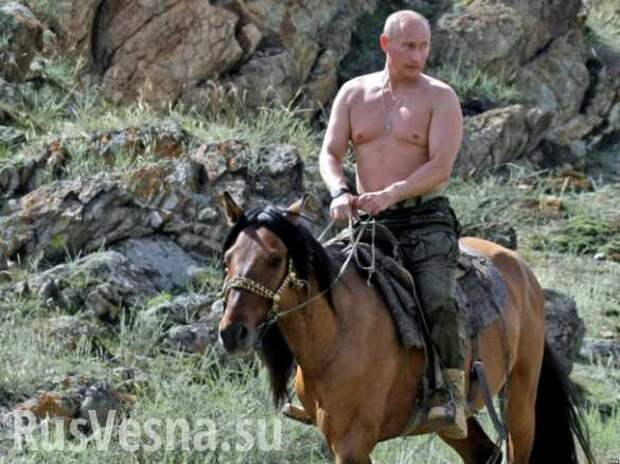 Франция: «Хаджи Путин лучше Хуссейна Обамы» | Русская весна