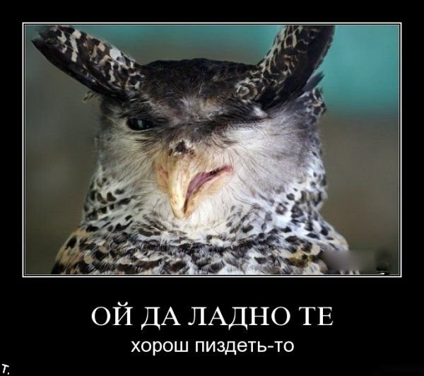 Подборка демотиваторов (84 фото)