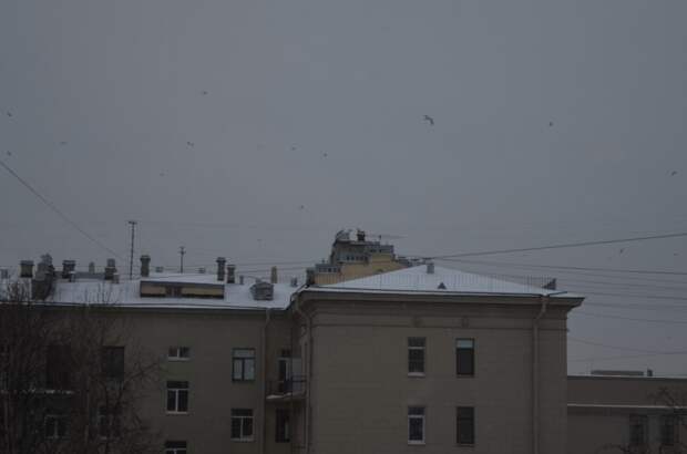 DSC_6279.JPG DSC_6279.JPG