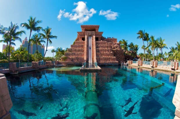 Leap-of-Faith-Bahamas