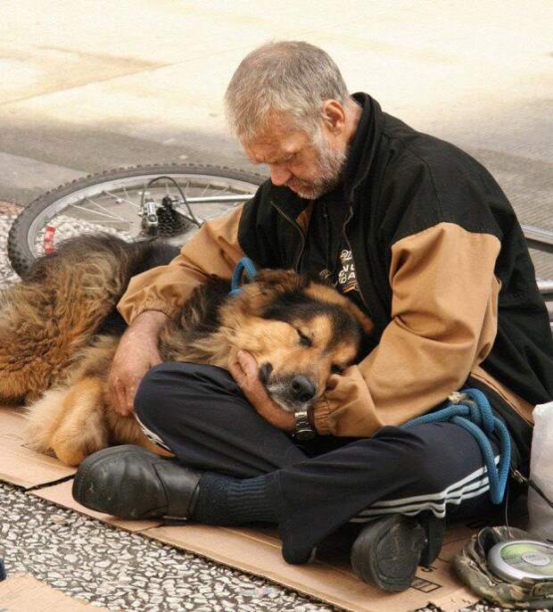 У этих людей нет ни гроша за душой... Но им всегда есть чем поделиться со своими питомцами
