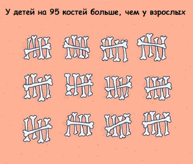 www.vsyako.net