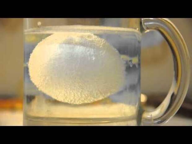 Эксперимент: яйцо и уксус смотреть видео как сделать 6 процентный уксус уксус столовый сколько процентов - Вип кот - портал коша