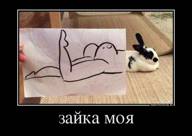 Демотиваторы демотиваторы, прикол, смех, юмор