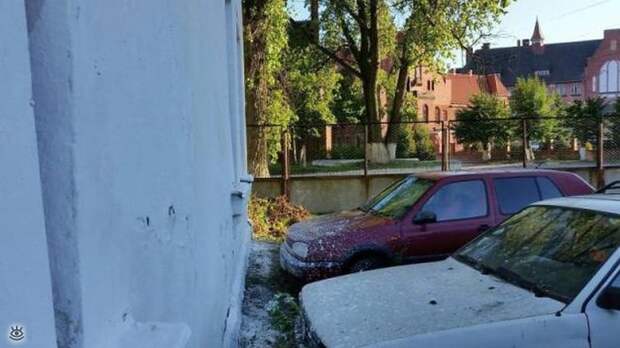 Автокурьёзы с дороги 7