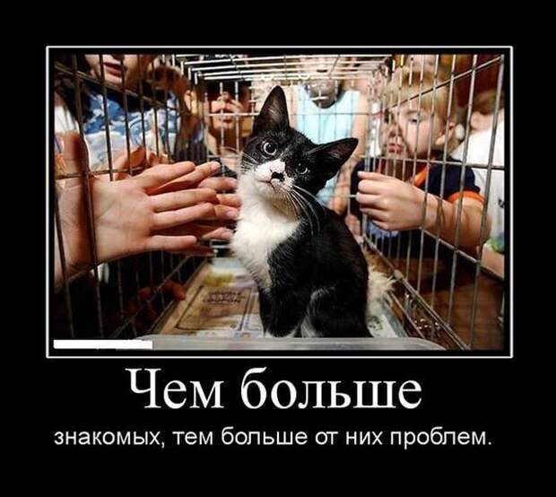 Демотиваторы (30 фото)