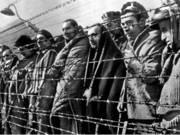 Неизвестный Освенцим: о чем узники лагеря смерти молчали 70 лет